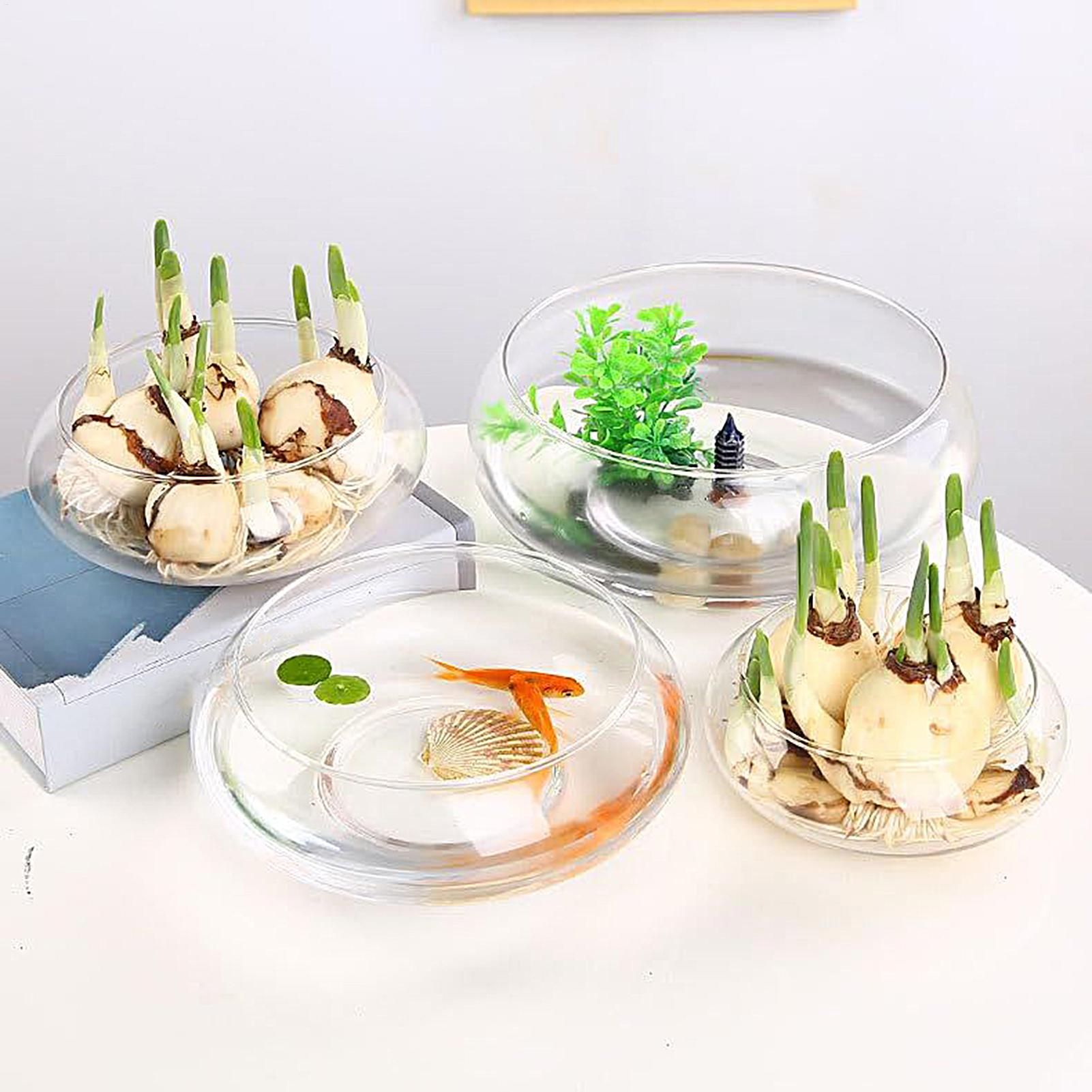 Aquarium Fish Pot - Fish Glass Bowl Glass Large Hydroponics