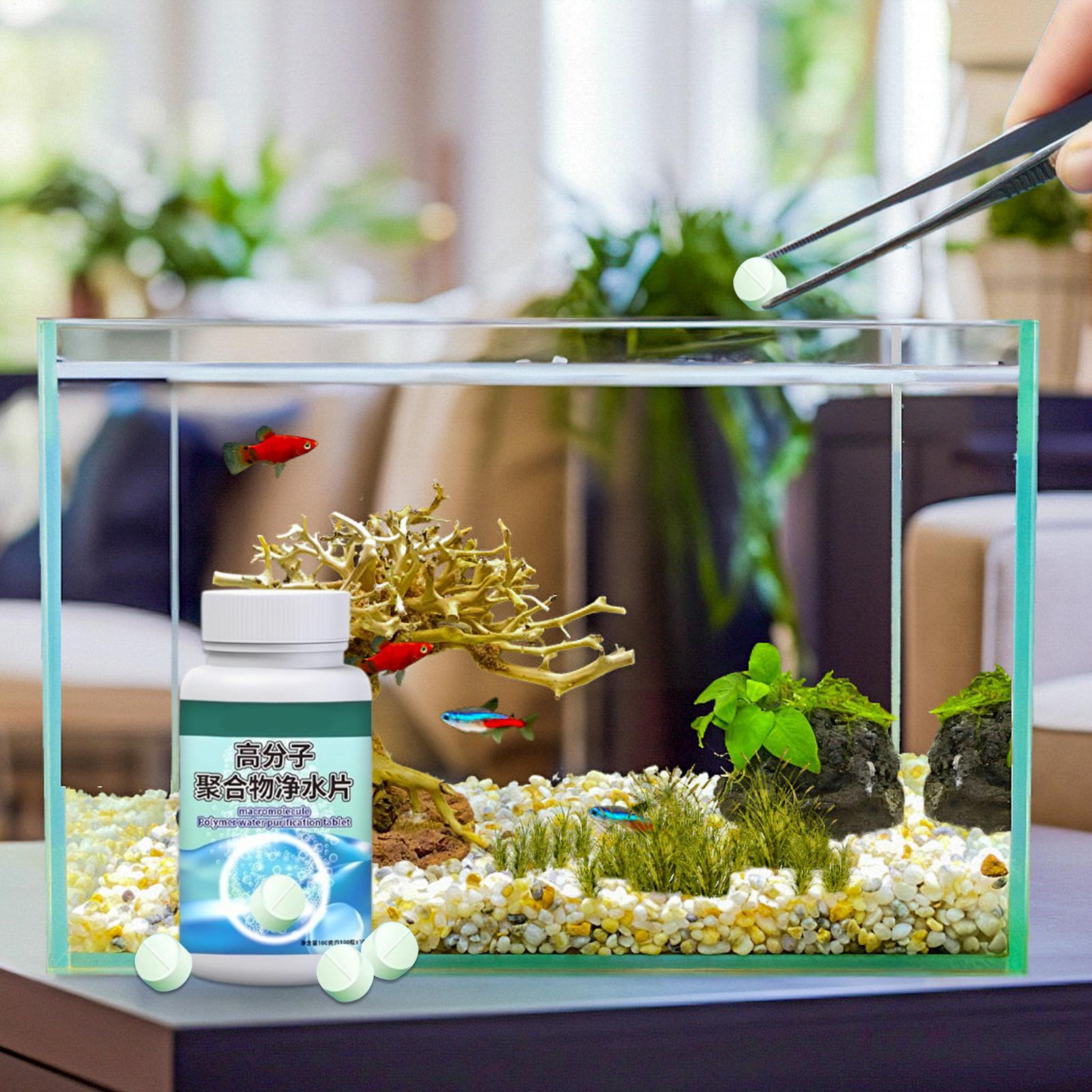 Fish Can Algae Remover Aquariu - Aquarium Fish Betta บทวิจารณ์และราคา