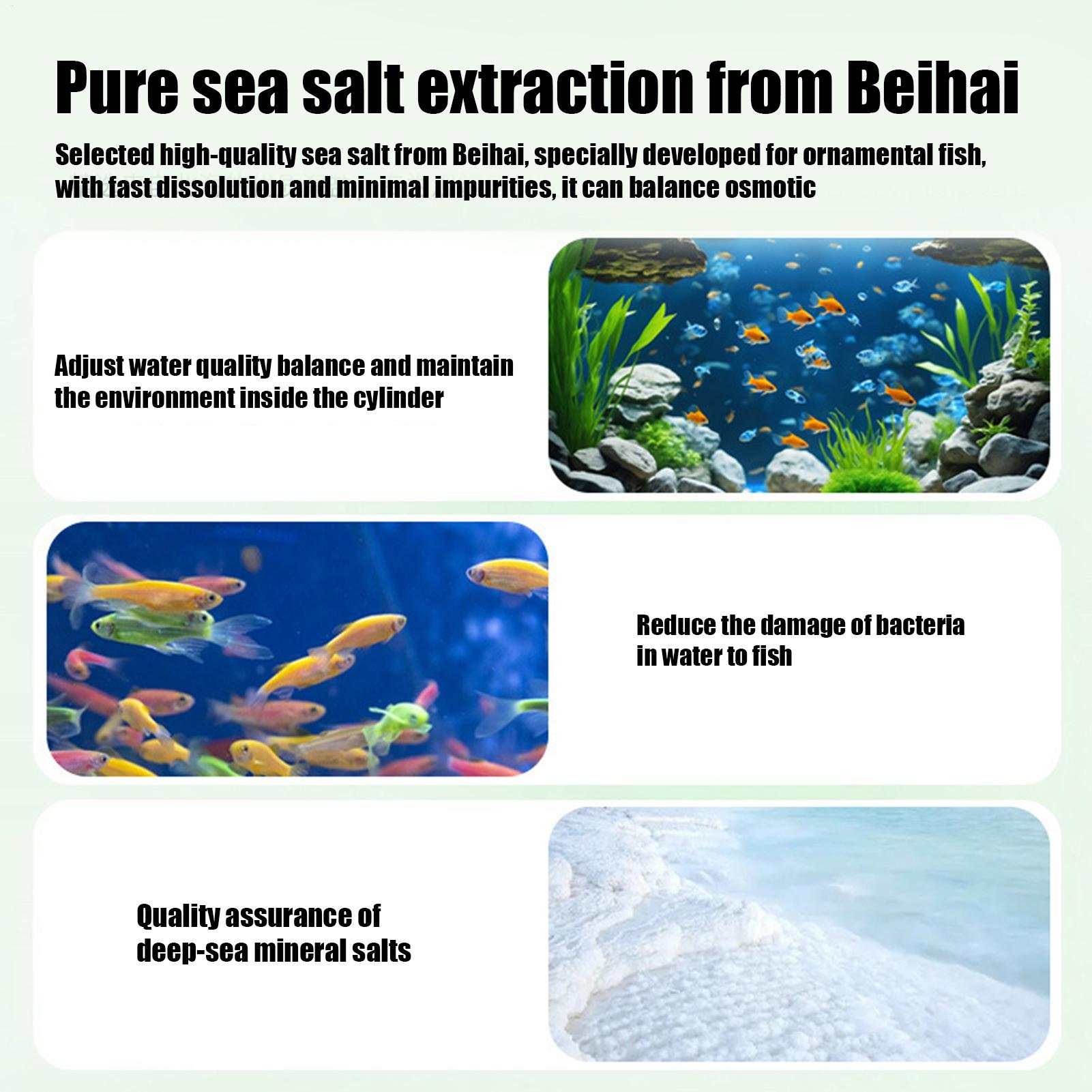 Fish Can Algae Remover Aquariu - Aquarium Fish Betta บทวิจารณ์และราคา