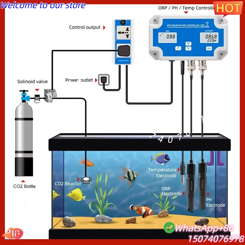 2026 Wireless WiFi Online Cont - Aquarium Fish In Online บทวิจารณ์และราคา
