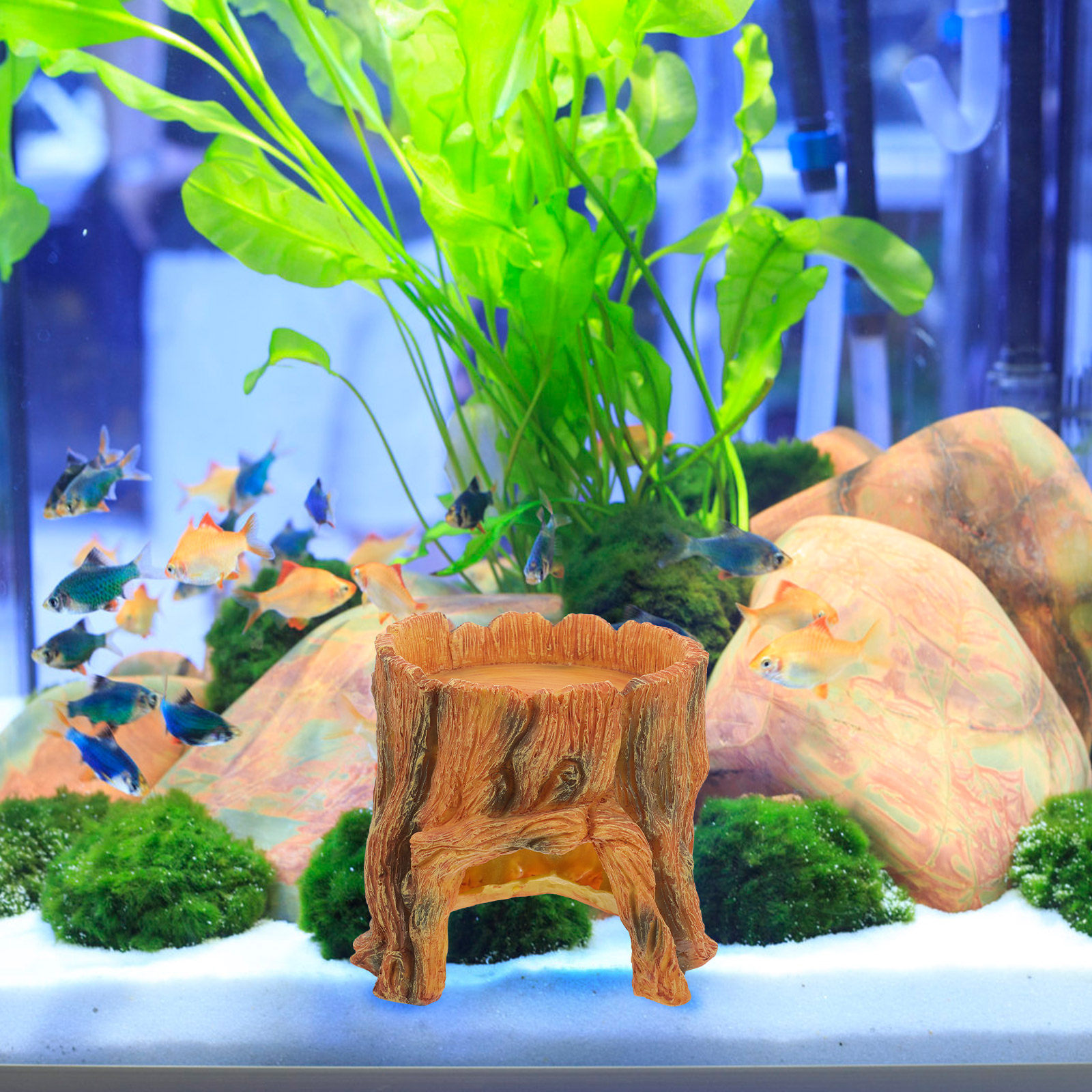 Aquarium Trunk Artificial Holl - Aquarium Fish Hideout บทวิจารณ์และราคา