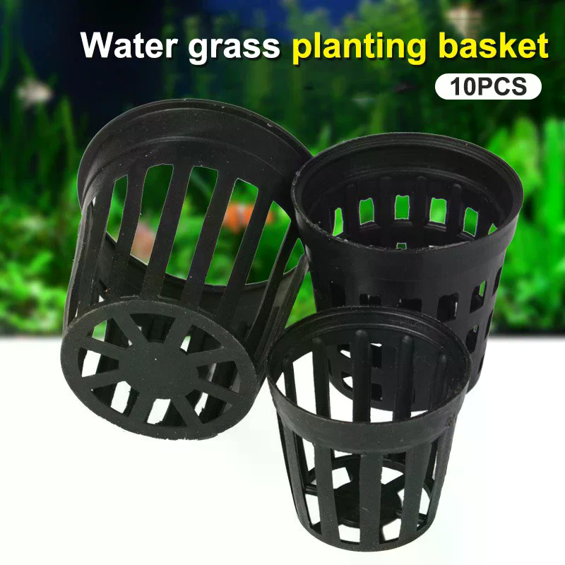 10Pcs Aquarium Flower Basket A - Aquarium Fish Pot บทวิจารณ์และราคา
