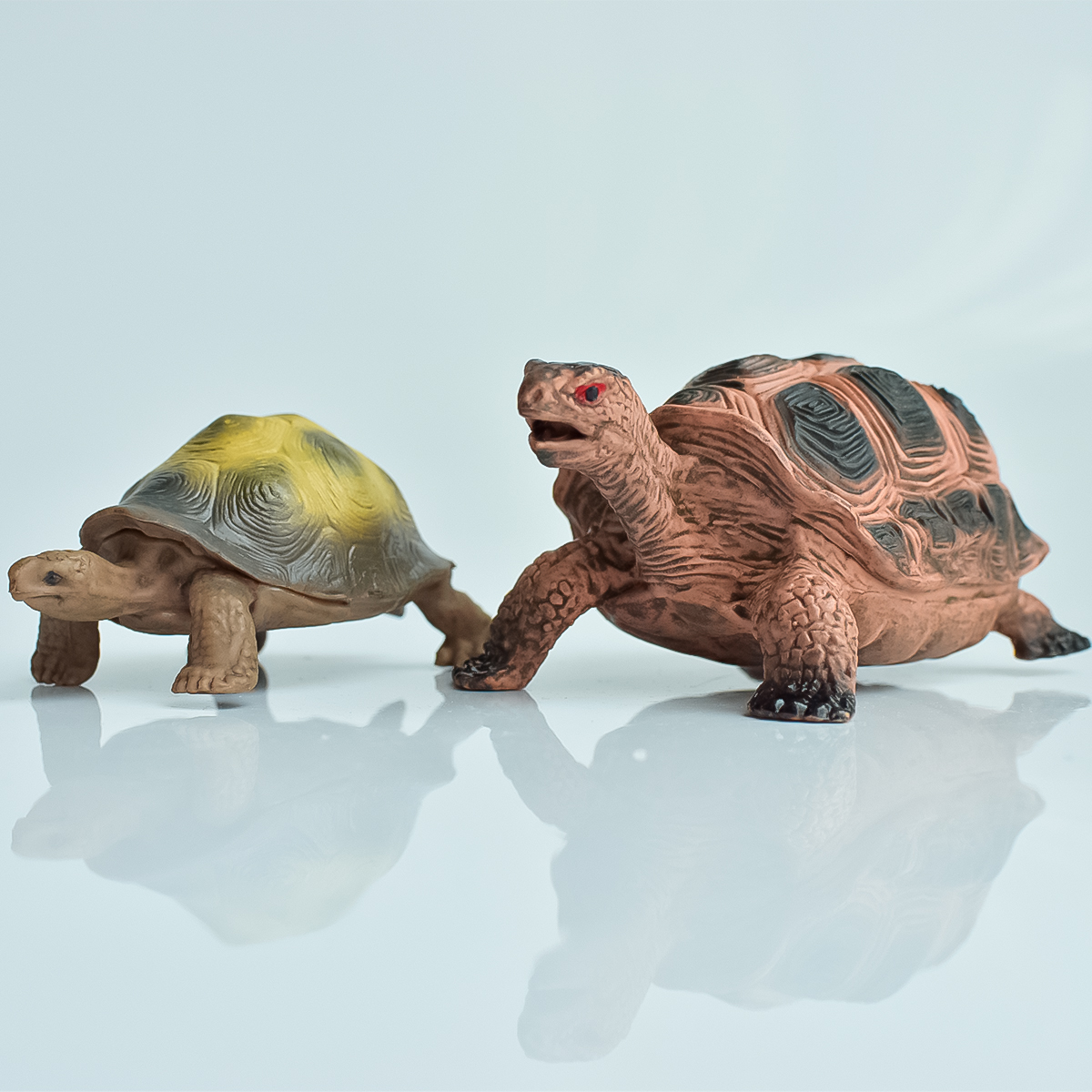 Painted Realistic Animal Turtl - Aquarium Fish Types บทวิจารณ์และราคา