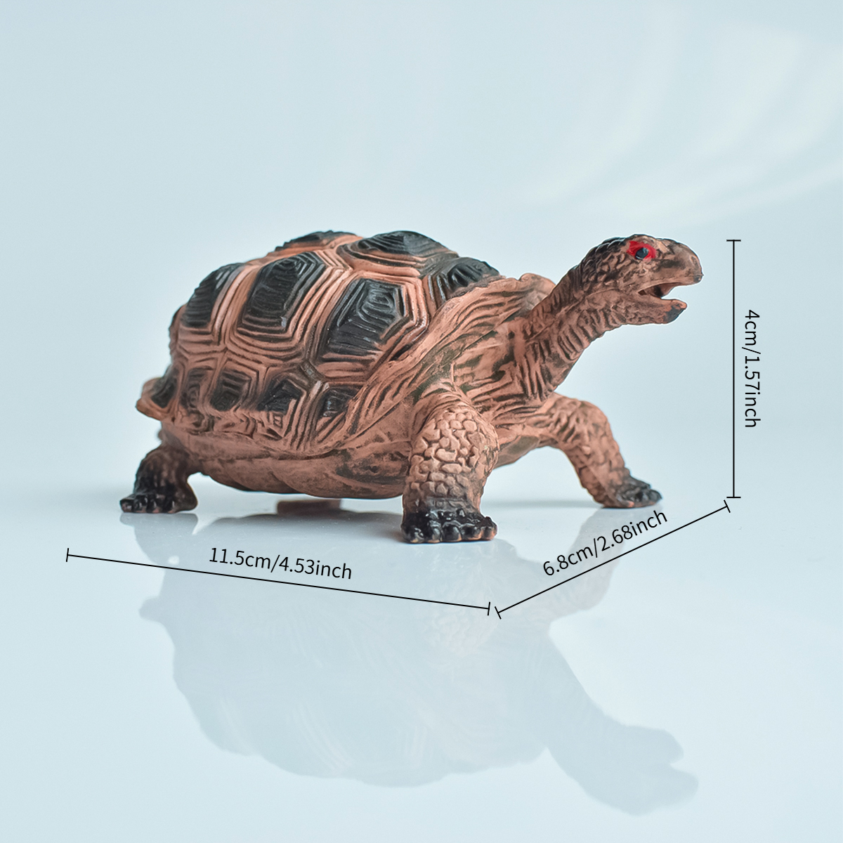 Painted Realistic Animal Turtl - Aquarium Fish Types บทวิจารณ์และราคา