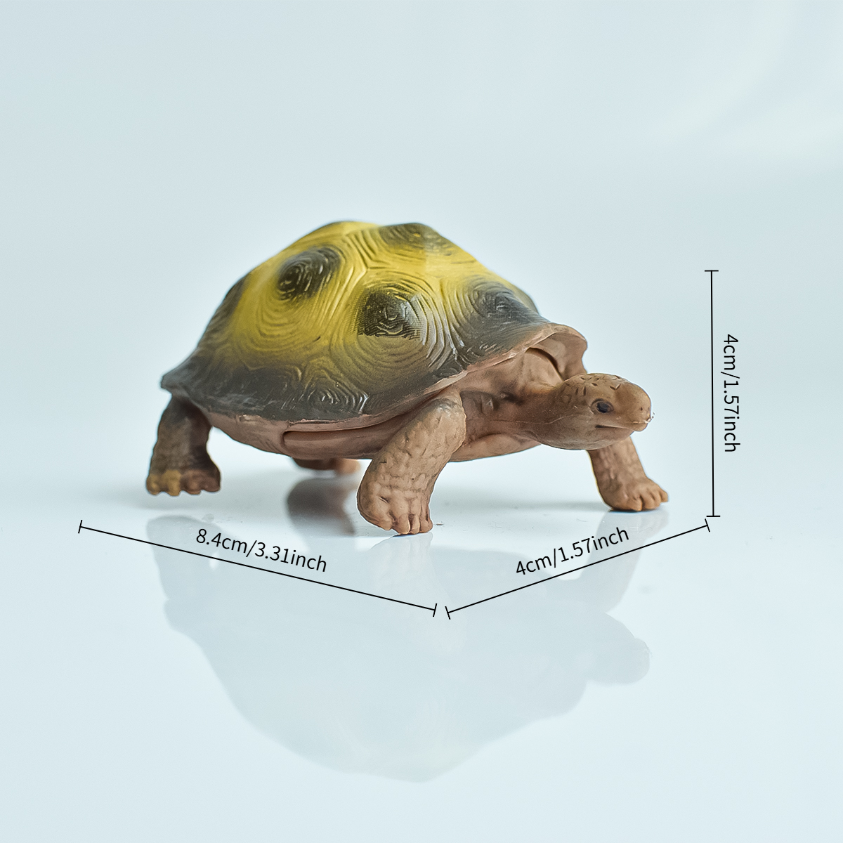 Painted Realistic Animal Turtl - Aquarium Fish Types บทวิจารณ์และราคา