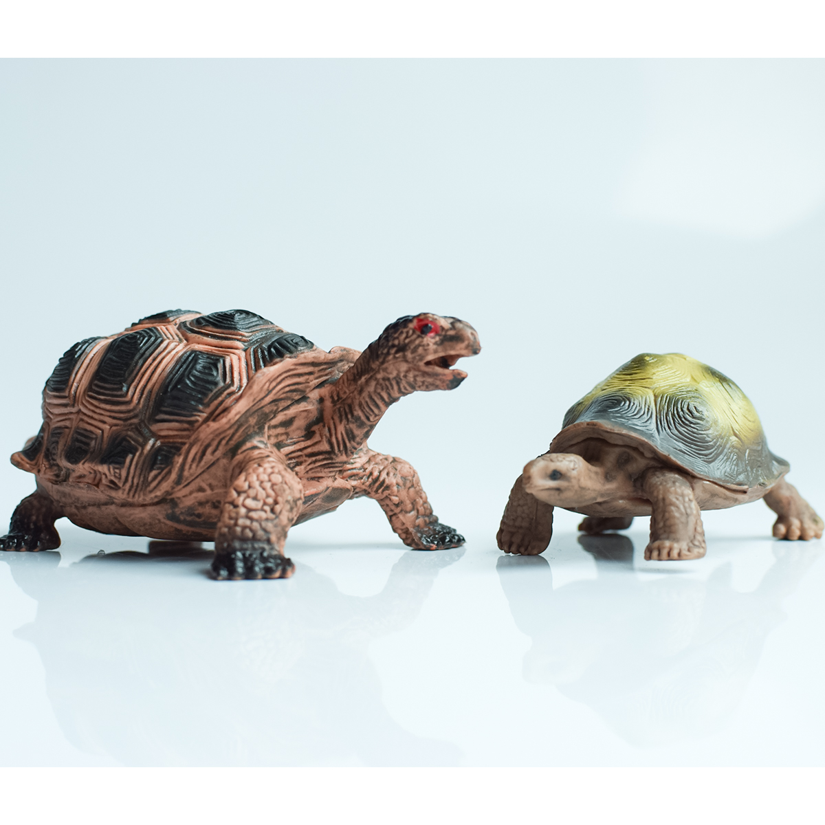 Painted Realistic Animal Turtl - Aquarium Fish Types บทวิจารณ์และราคา