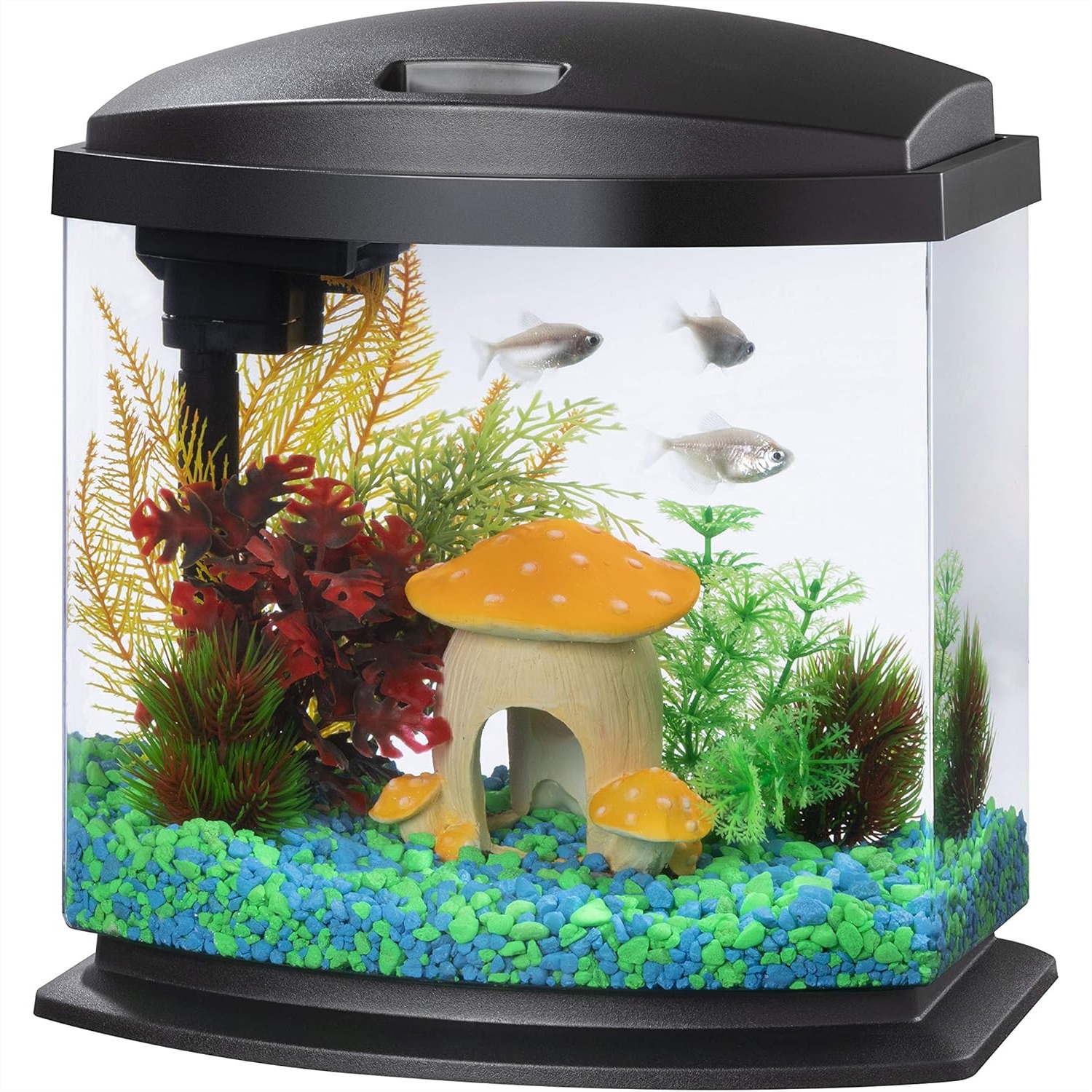 Aqueon LED MiniBow Small Aquar - Aquarium Fish Black บทวิจารณ์และราคา