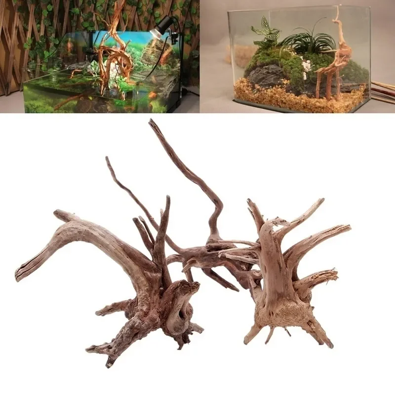 Natural Tree Trunk Driftwood A - Aquarium Fish Cartoon บทวิจารณ์และราคา