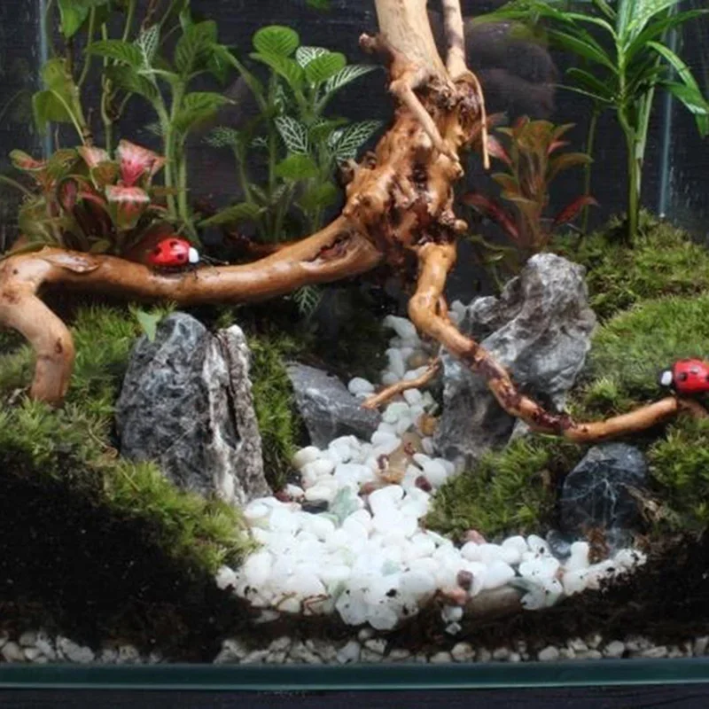 Natural Tree Trunk Driftwood A - Aquarium Fish Cartoon บทวิจารณ์และราคา