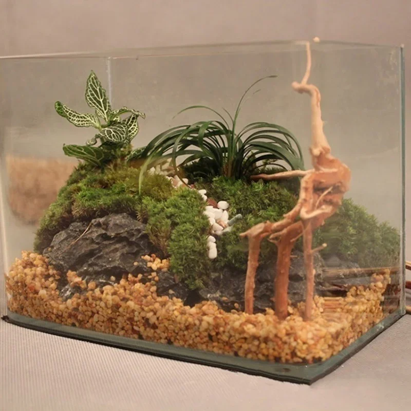 Natural Tree Trunk Driftwood A - Aquarium Fish Cartoon บทวิจารณ์และราคา