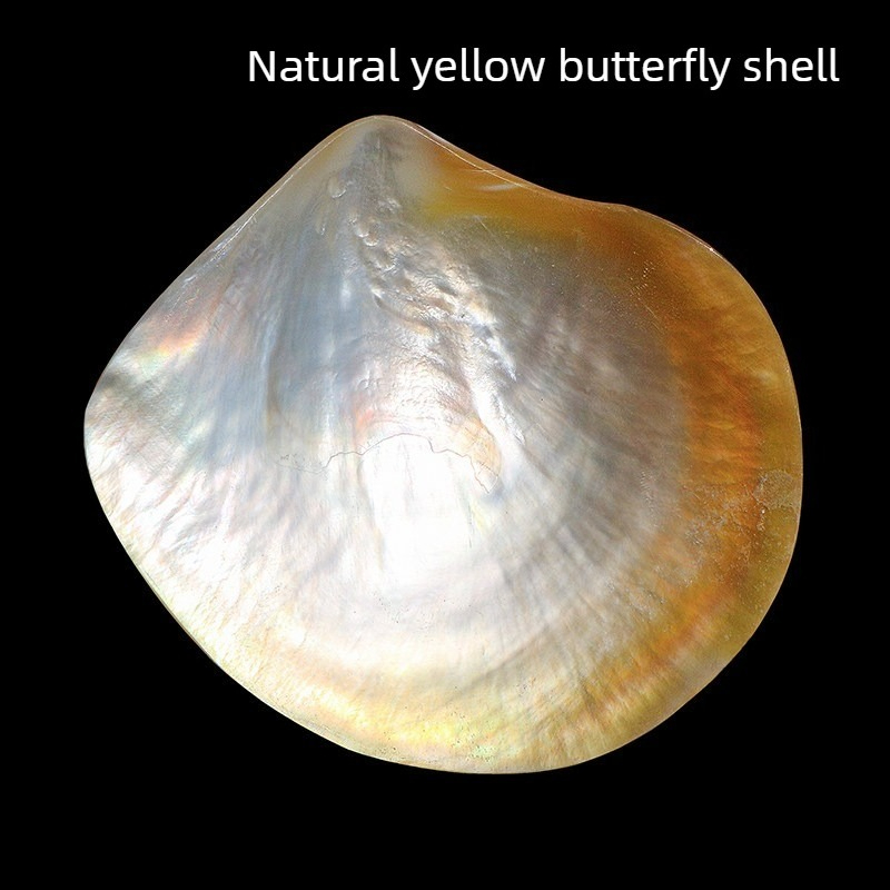 Natural Yellow Butterfly Beibe - Aquarium Fish Yellow บทวิจารณ์และราคา