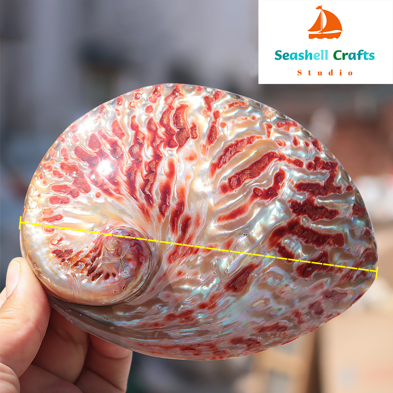 Home Decoration Red Pattern Ab - Aquarium Fish Cartoon บทวิจารณ์และราคา