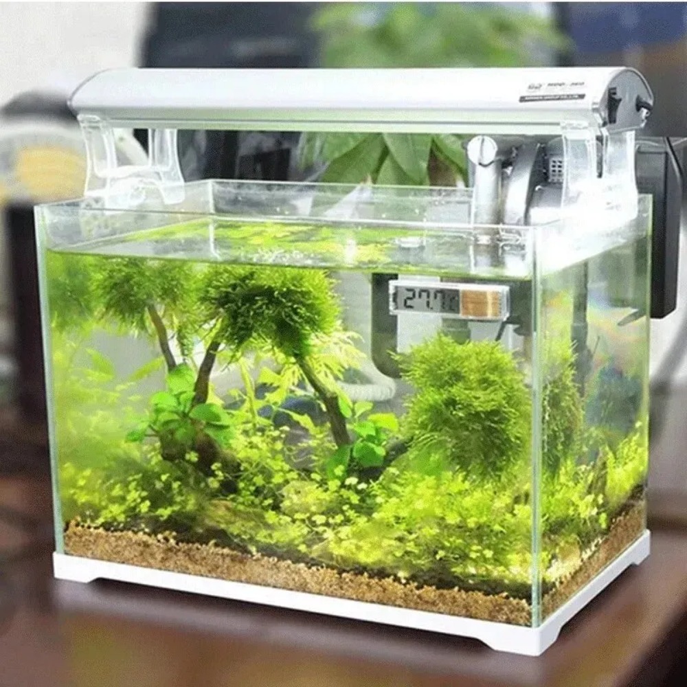 1PC Aquarium Thermometer Elect - Aquarium Thermometer บทวิจารณ์และราคา