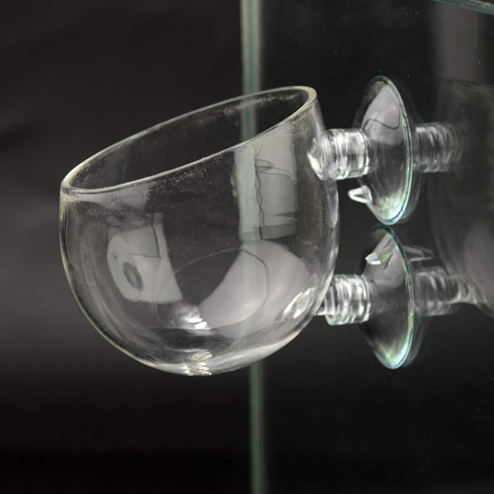 Aquarium Plant Holder Glass Aq - Aquarium Fish Pot บทวิจารณ์และราคา