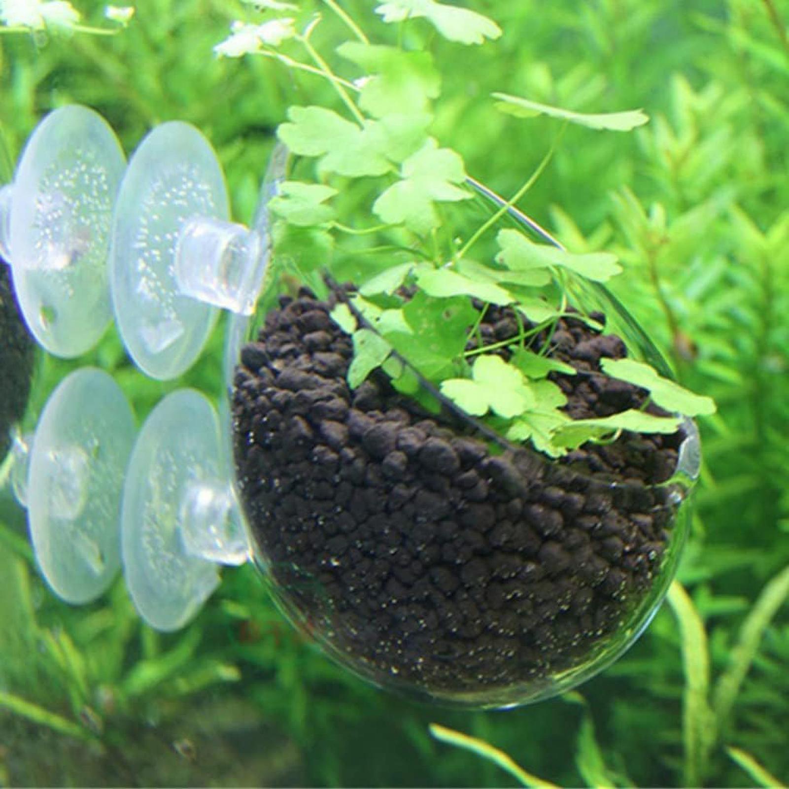 Aquarium Plant Holder Glass Aq - Aquarium Fish Pot บทวิจารณ์และราคา
