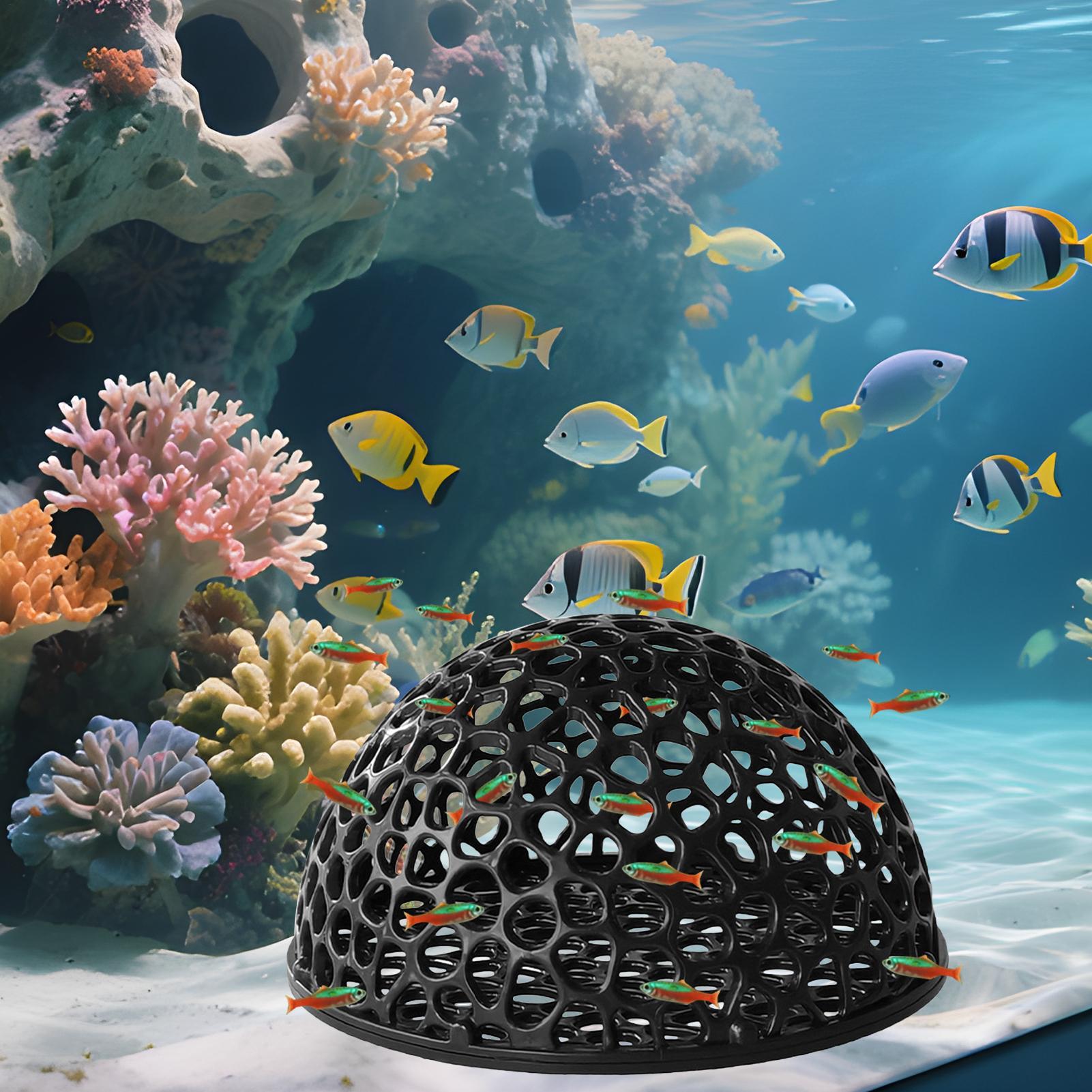Shrimp Breeding Cave fish tank - Aquarium Fish Hideout บทวิจารณ์และราคา