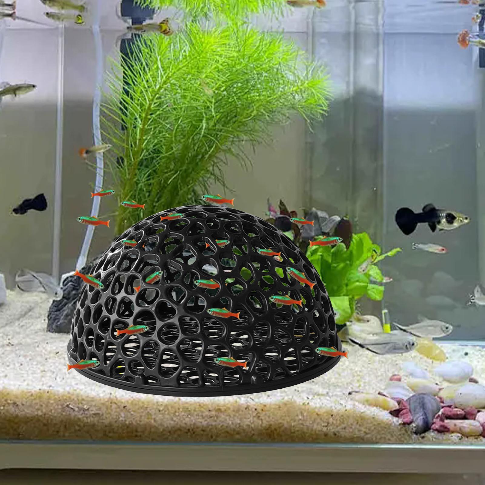 Shrimp Breeding Cave fish tank - Aquarium Fish Hideout บทวิจารณ์และราคา