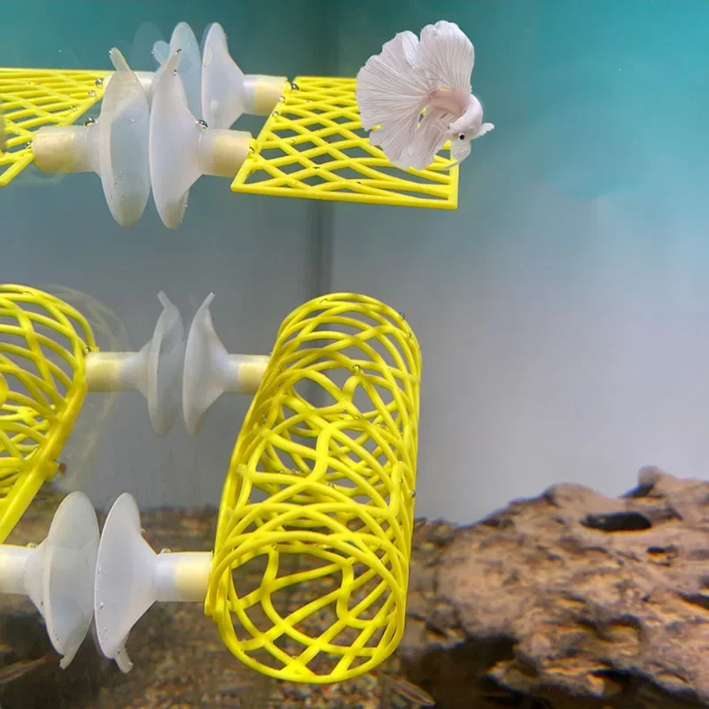 Plastic Fish Tank Aquarium Art - Aquarium Fish Hide บทวิจารณ์และราคา