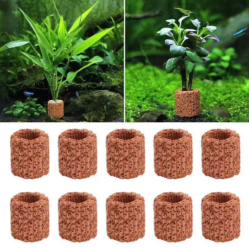 Aquatic Plant Fixed Ring for A - Aquarium Fish Pot บทวิจารณ์และราคา
