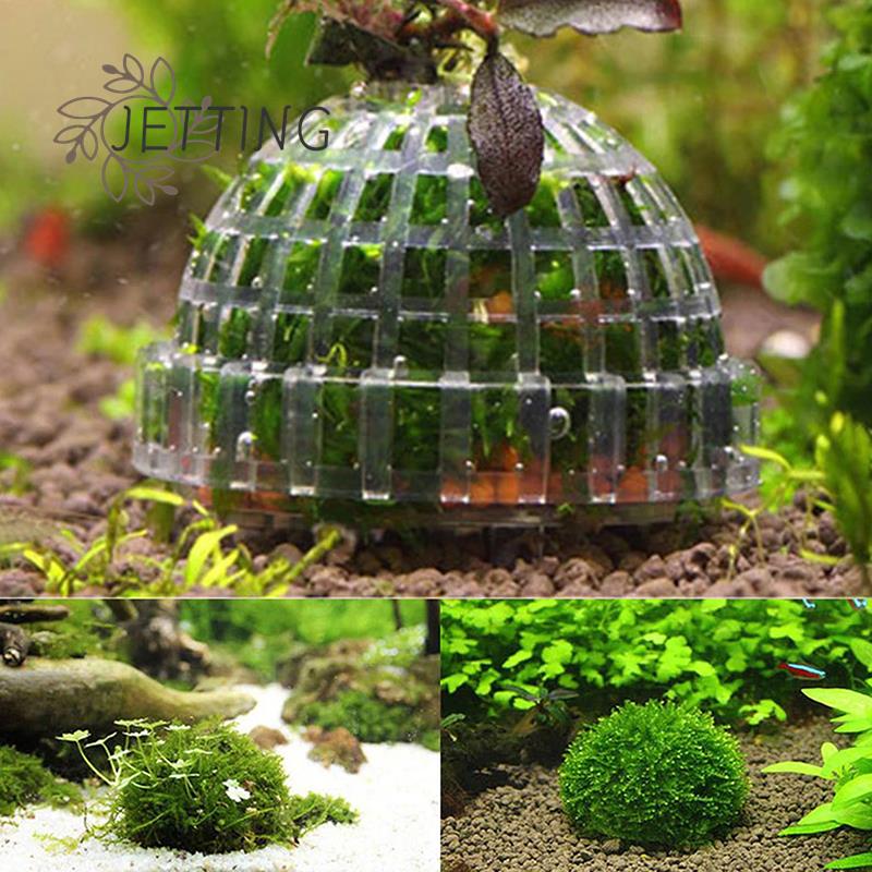 1pc Plastic Aquarium Moss Ball - Aquarium Fish Ball บทวิจารณ์และราคา