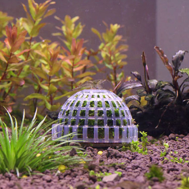 1pc Plastic Aquarium Moss Ball - Aquarium Fish Ball บทวิจารณ์และราคา