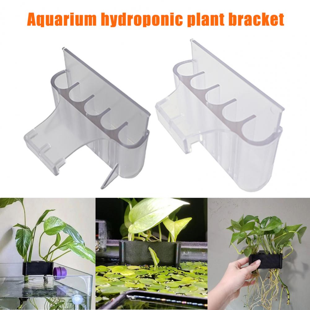 4.5/6.5cm Aquarium Plant Holde - Aquarium Fish Pot บทวิจารณ์และราคา
