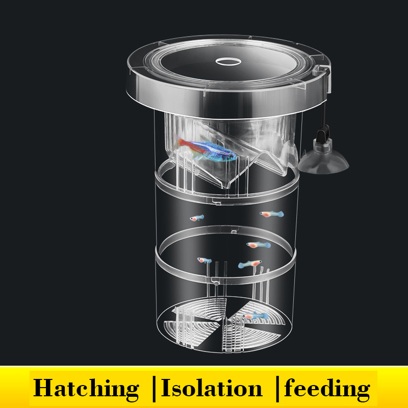 Floating Fish Breeding Isolati - Aquarium Fish Betta บทวิจารณ์และราคา