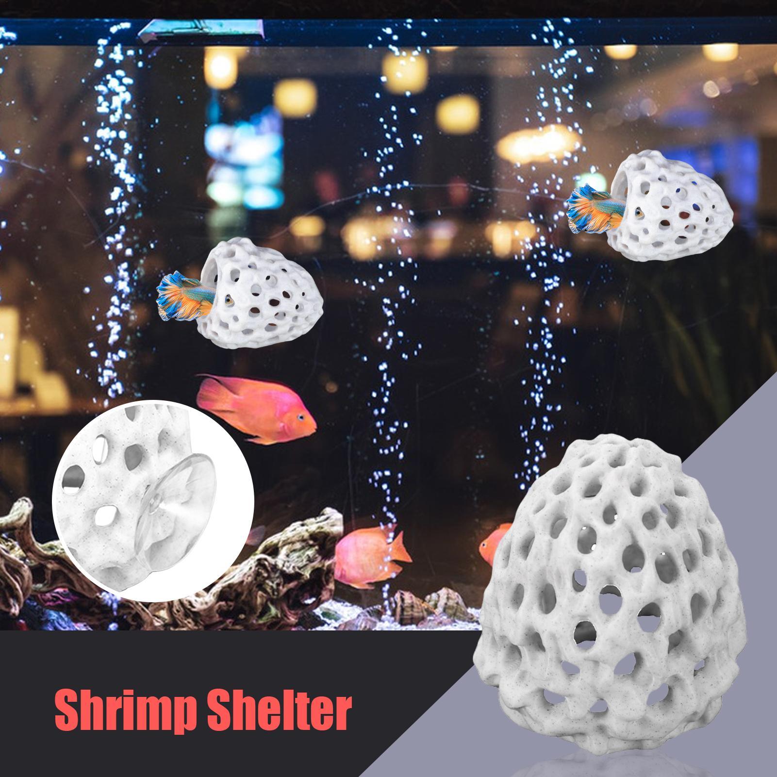 Small Aquarium shrimp house Ca - Aquarium Fish Betta บทวิจารณ์และราคา