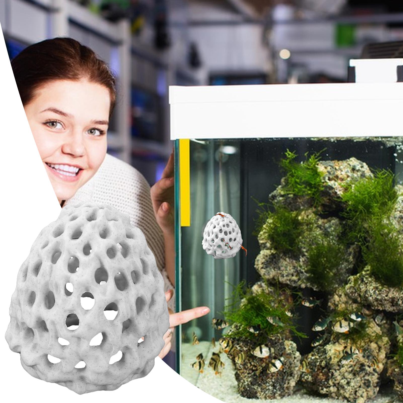 Small Aquarium shrimp house Ca - Aquarium Fish Betta บทวิจารณ์และราคา