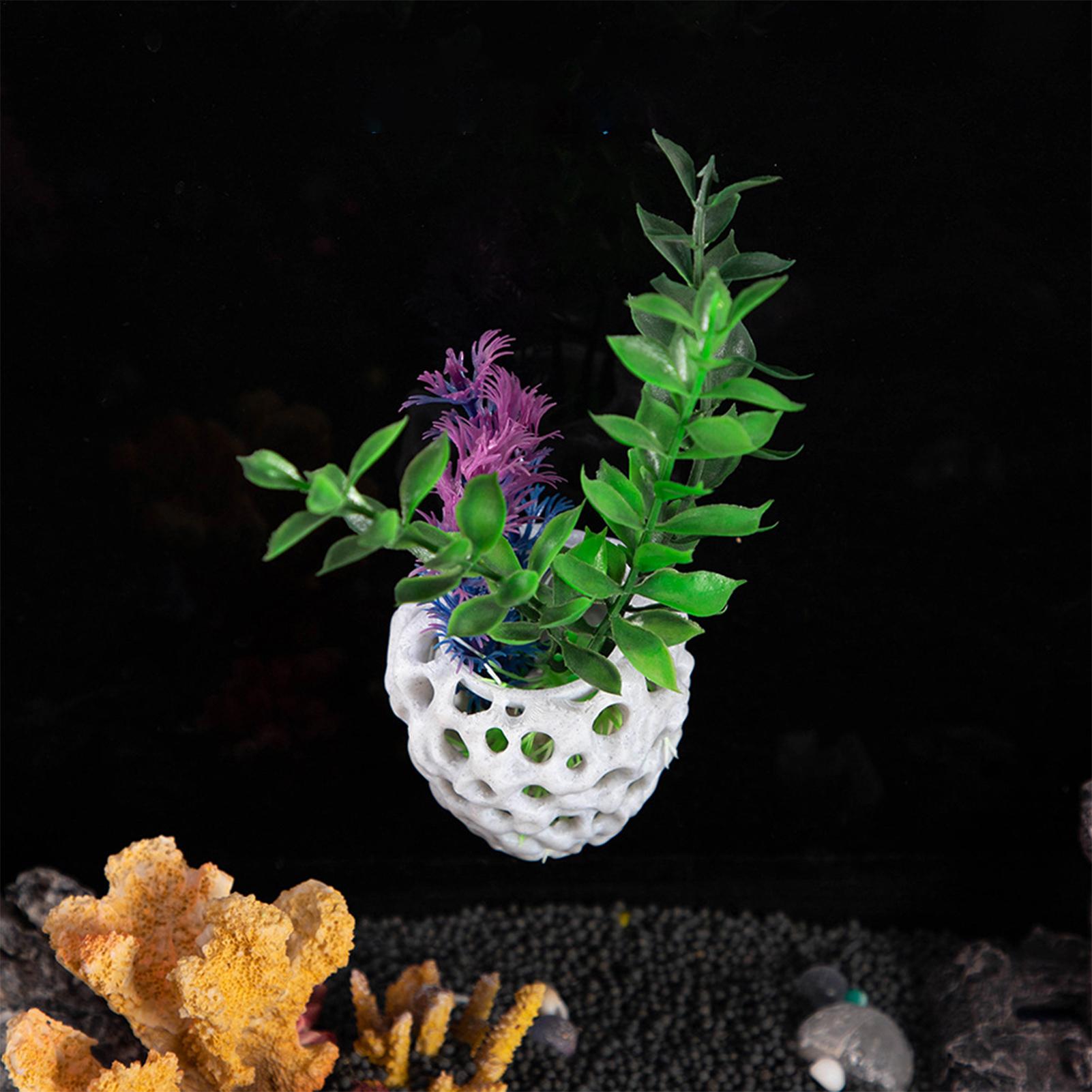 Small Aquarium shrimp house Ca - Aquarium Fish Betta บทวิจารณ์และราคา