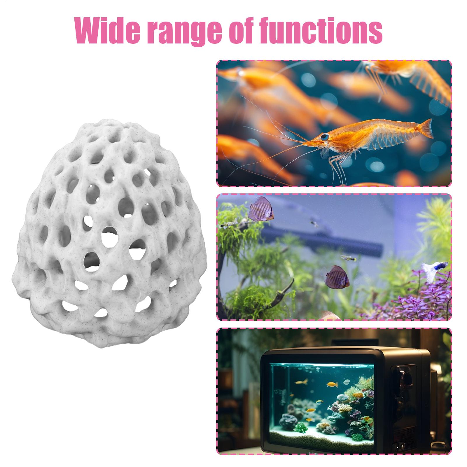 Small Aquarium shrimp house Ca - Aquarium Fish Betta บทวิจารณ์และราคา