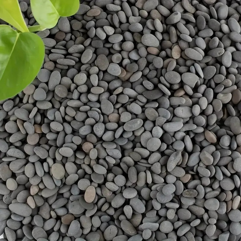 20Pcs Natural River Rocks Smoo - Aquarium Fish Types บทวิจารณ์และราคา
