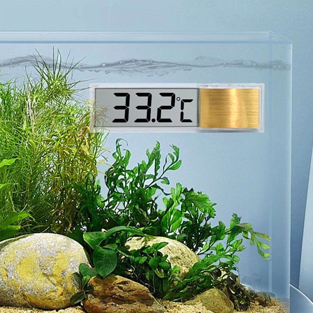 3D Digital Aquarium Thermomete - Aquarium Thermometer บทวิจารณ์และราคา