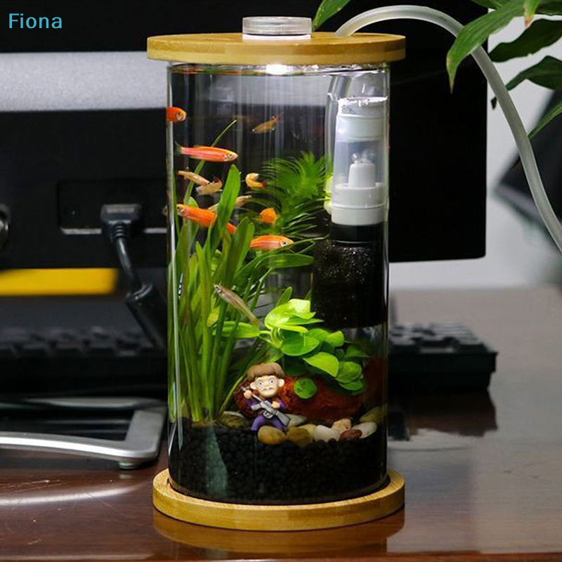 ♬Air Driven Aquarium Sponge Fi - Aquarium Fish Betta บทวิจารณ์และราคา
