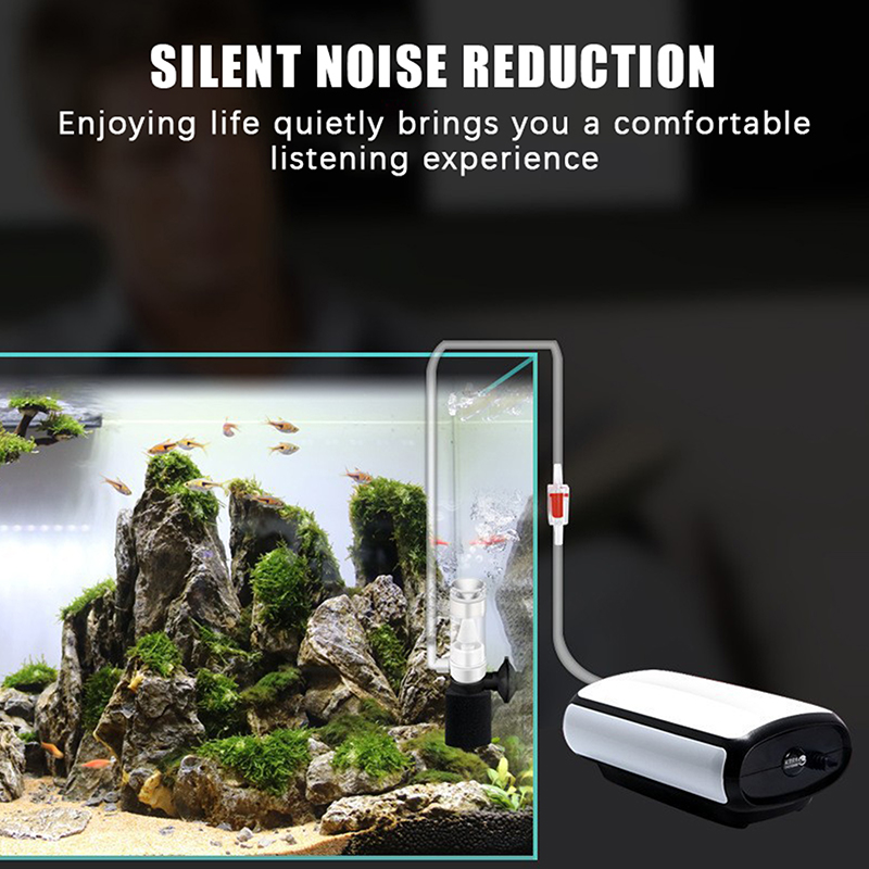 ♬Air Driven Aquarium Sponge Fi - Aquarium Fish Betta บทวิจารณ์และราคา