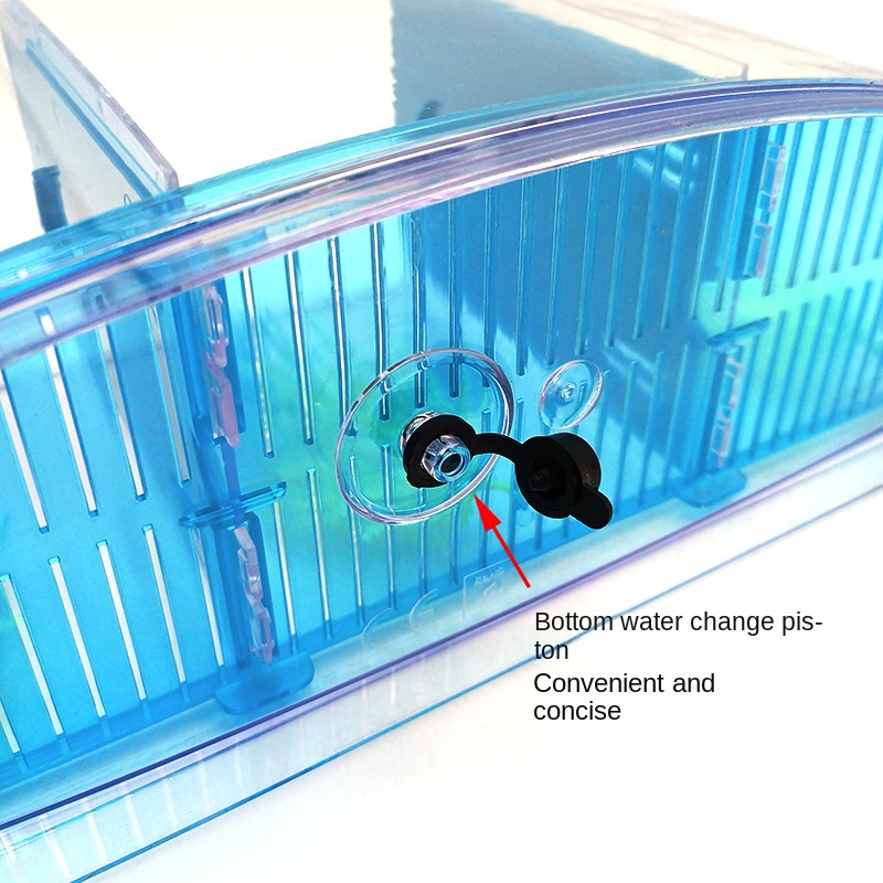 Mini Small Fish Tank Aquarium, - Aquarium Fish Betta บทวิจารณ์และราคา