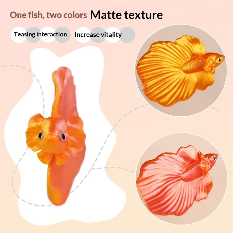 【CC】Colorful Aquarium Betta Tr - Aquarium Fish Betta บทวิจารณ์และราคา