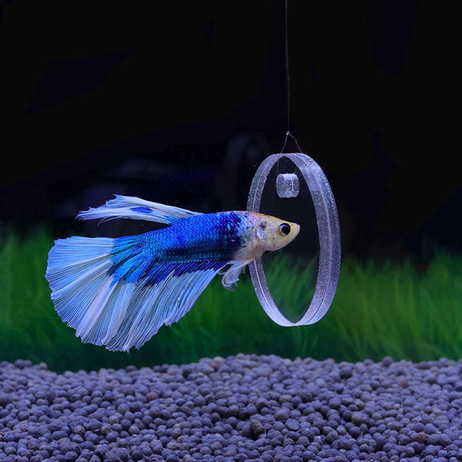 2Pcs Floating Feeding Ring Wit - Aquarium Fish Betta บทวิจารณ์และราคา