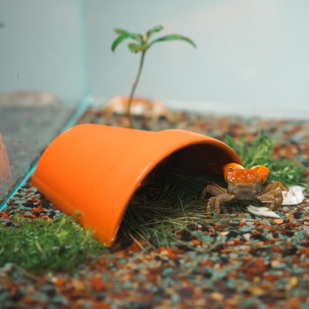 Ceramic Aquarium Simulated Cav - Aquarium Fish Hideout บทวิจารณ์และราคา