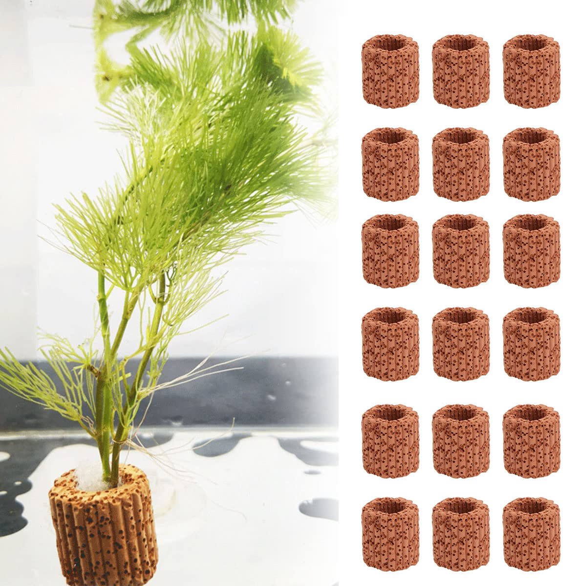 10/20Pcs Aquatic Water Plant F - Aquarium Fish Pot บทวิจารณ์และราคา