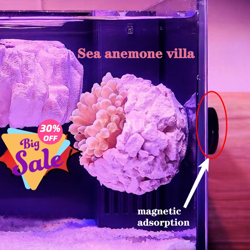New DIY Handmade Floating Magn - Aquarium Fish Cartoon บทวิจารณ์และราคา