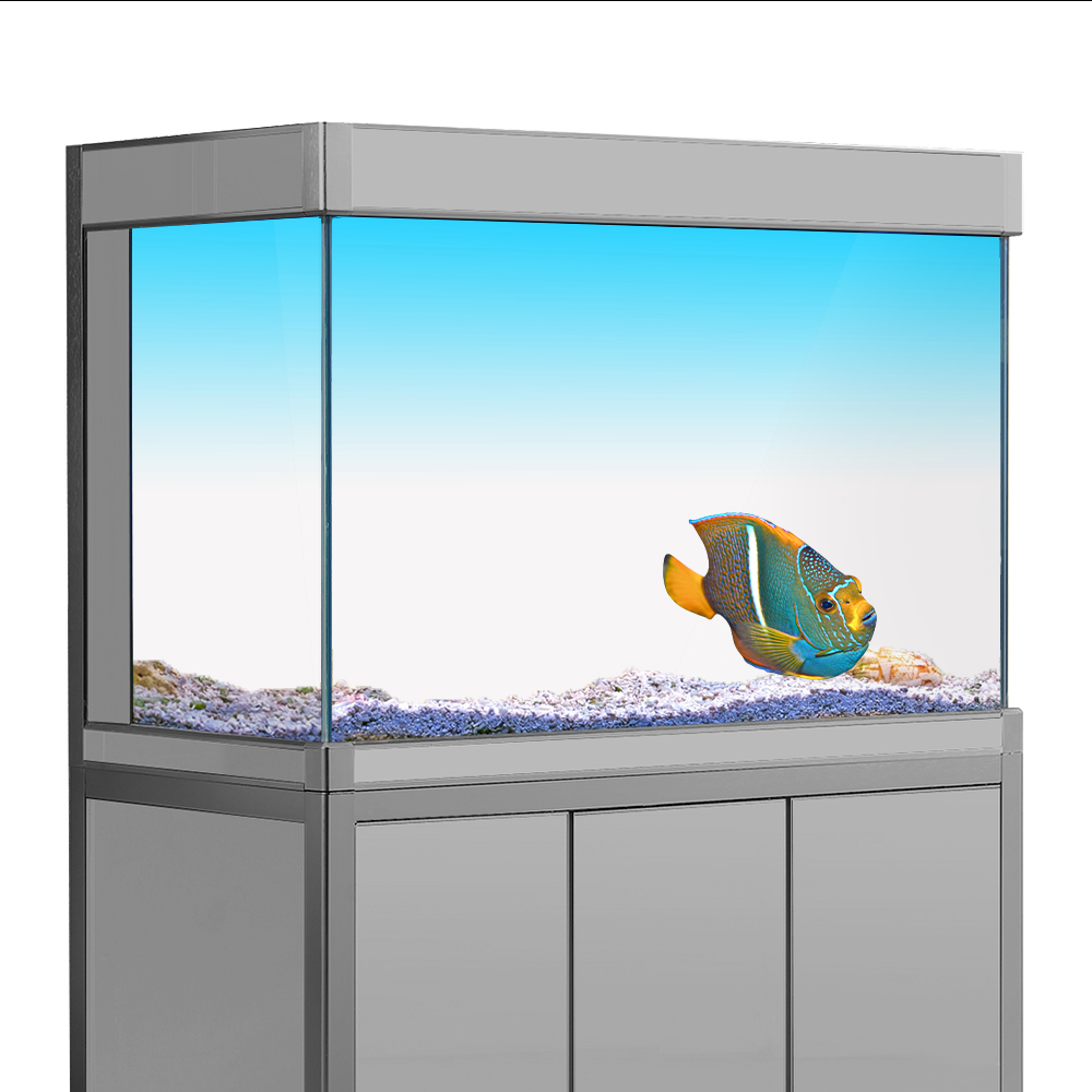 Fish Tank Background Sticker W - Aquarium Fish Yellow บทวิจารณ์และราคา
