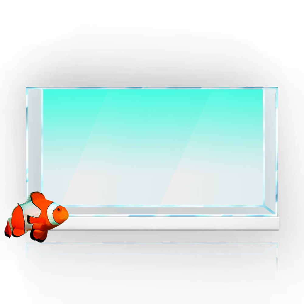 Fish Tank Background Sticker W - Aquarium Fish Yellow บทวิจารณ์และราคา