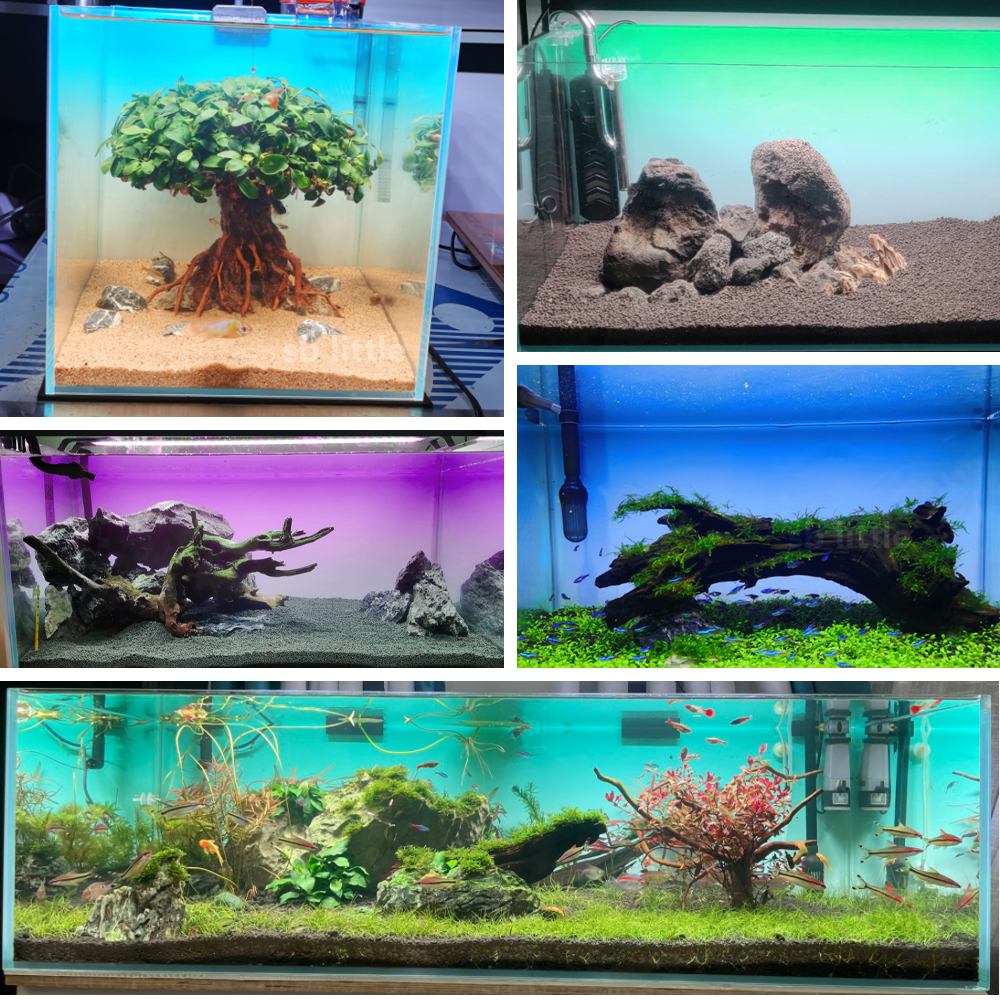 Fish Tank Background Sticker W - Aquarium Fish Yellow บทวิจารณ์และราคา