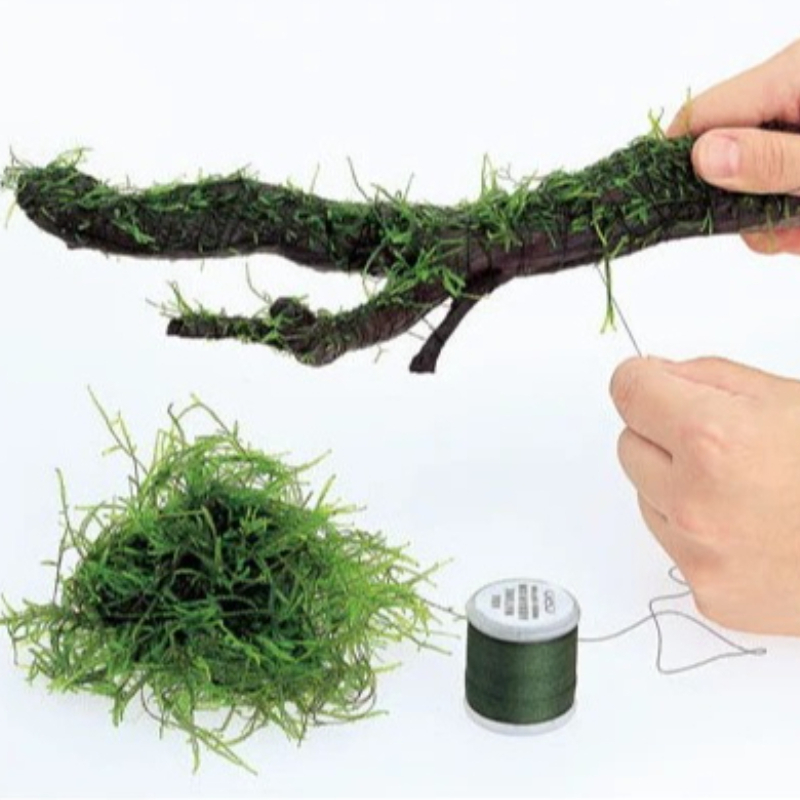 AQUA NEST 200m/roll Naturally  - Aquarium Fish Hideout บทวิจารณ์และราคา