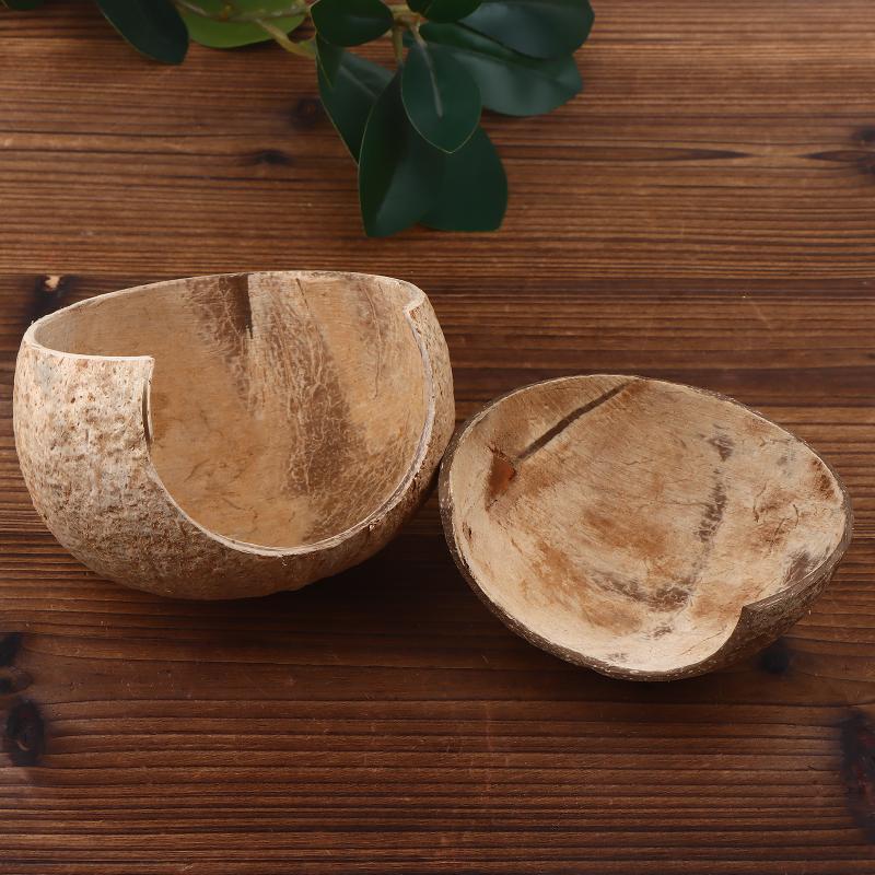 Coconut Hut Decor for Aquarium - Aquarium Fish Hideout บทวิจารณ์และราคา