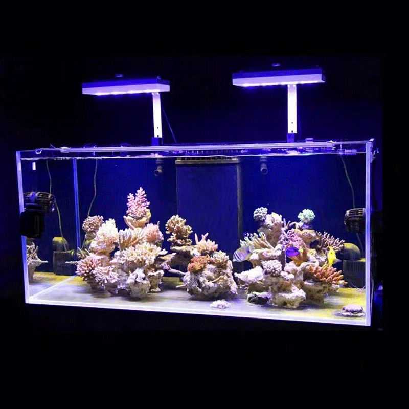 Aqua Illumination AI Hydra 32H - Aquarium Fish Black บทวิจารณ์และราคา
