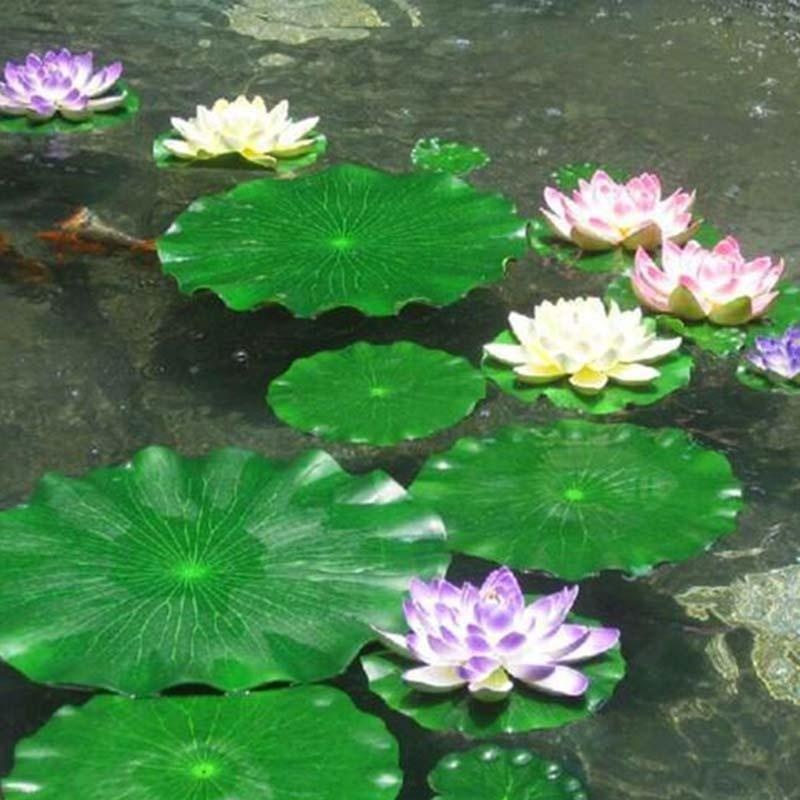 2026 Artificial Water Lily Lot - Aquarium Fish Types บทวิจารณ์และราคา