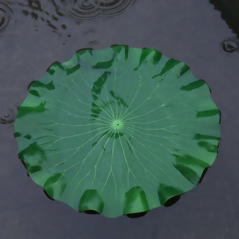 2026 Artificial Water Lily Lot - Aquarium Fish Types บทวิจารณ์และราคา
