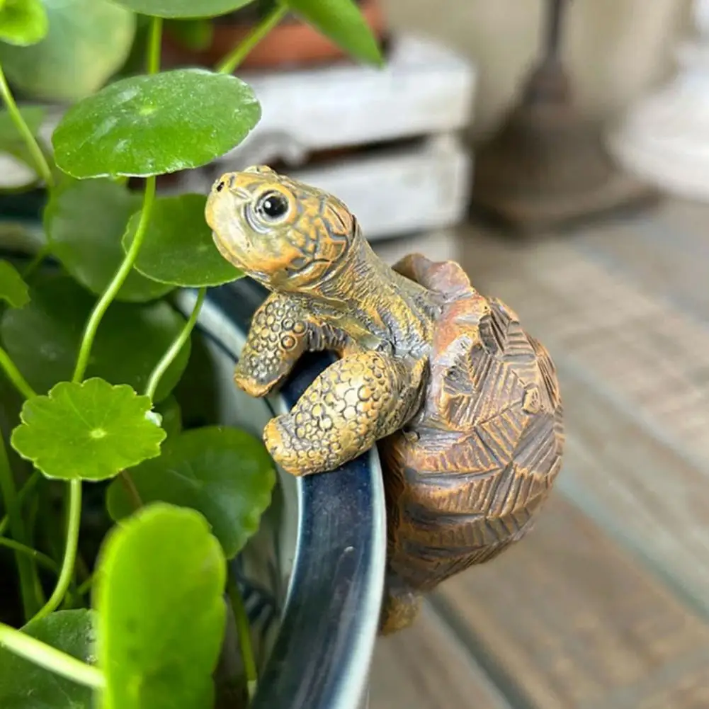 Fishing Turtle Hanging Turtle  - Aquarium Fish Types บทวิจารณ์และราคา